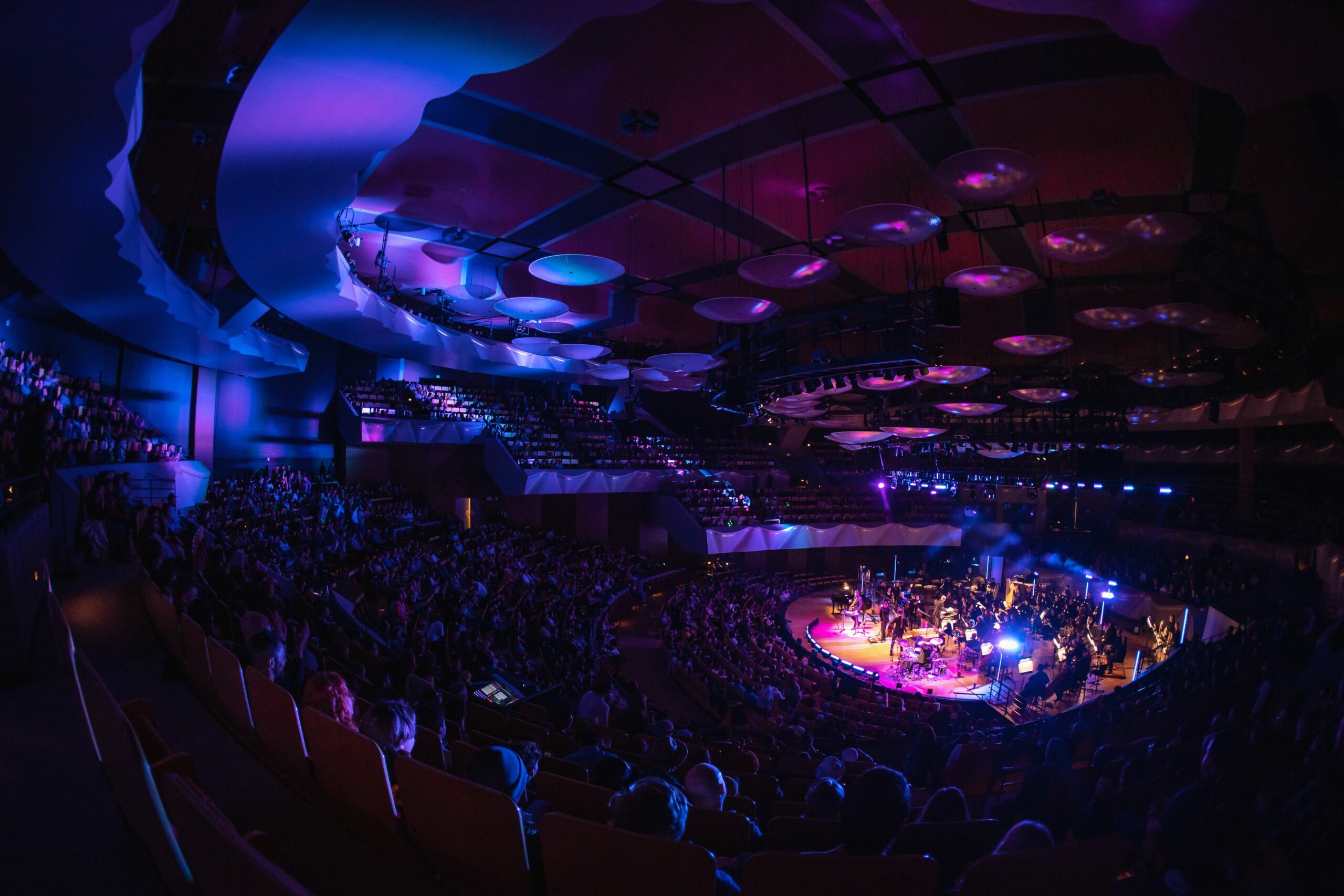 Concert in blue and purple hues